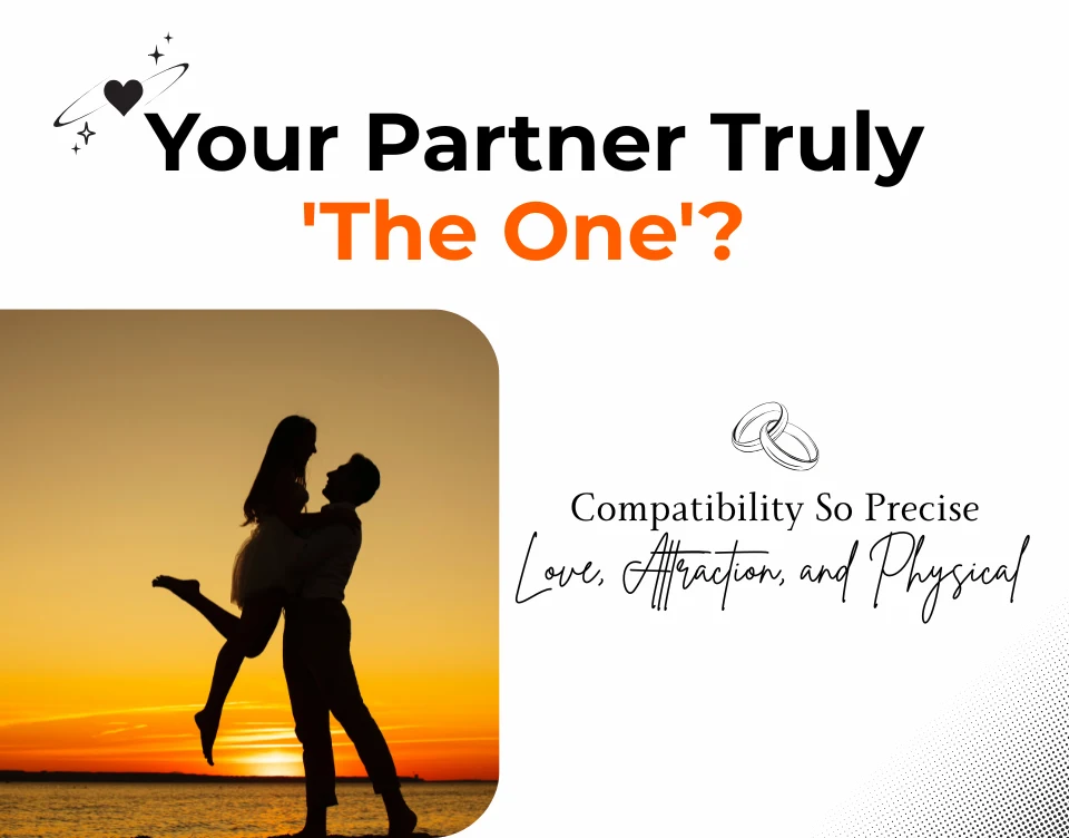 Your Partner Truly The One